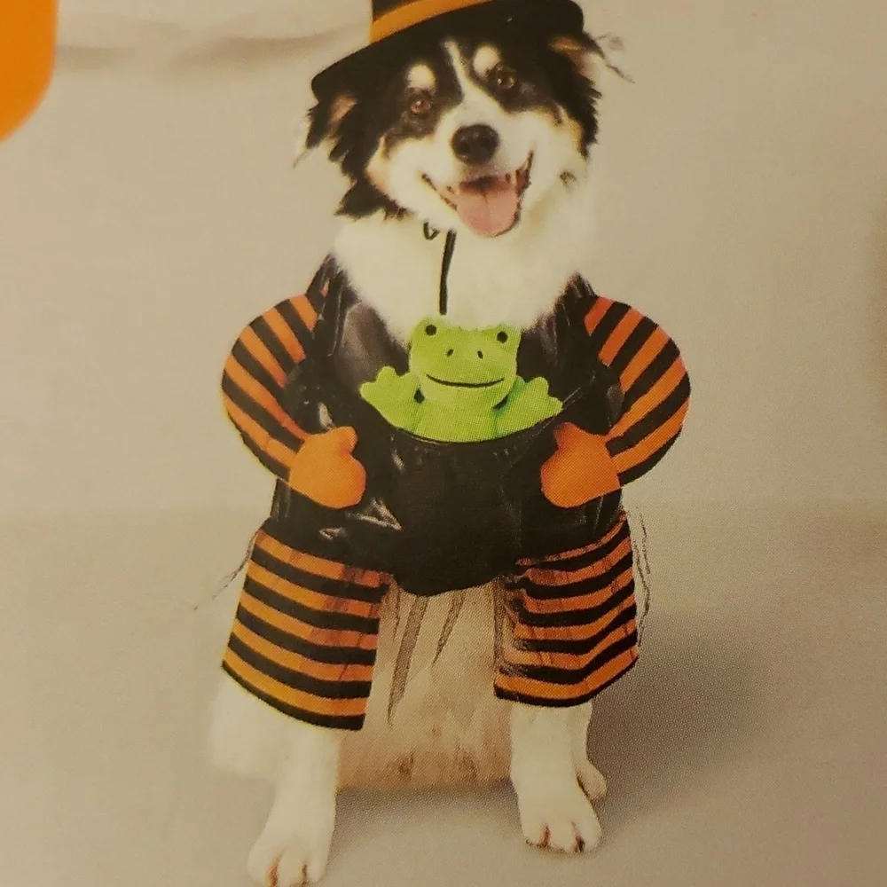 Hyde & EEK! Boutique™ Witch with Toy Frog Costume - Size M